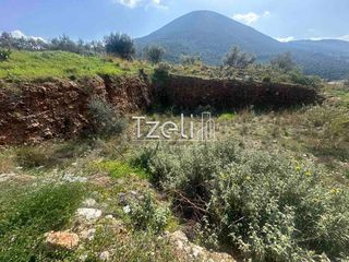Οικόπεδο 528 τ.μ. για πώληση, Αχαΐα, Μεσσατίδα-thumb-19