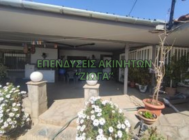 Αγροτεμάχια 3.800 τ.μ. προς πώληση, Ανακασιά