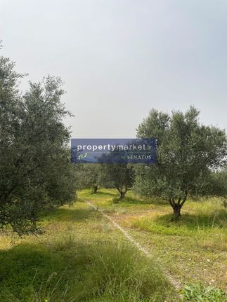 Parcel 8.775 sqm for sale, Rethymno Prefecture, Geropotamos