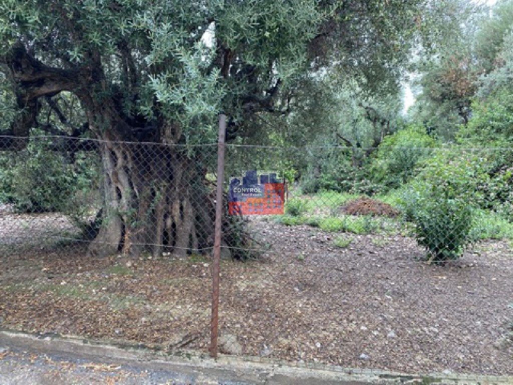 Οικόπεδο 667 τ.μ. για πώληση, Αχαΐα, Αίγιο