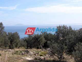 Αγροτεμάχια 5.800 τ.μ. για πώληση