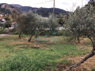 Οικόπεδο 956 τ.μ. για πώληση, Αχαΐα, Ρίο-thumb-5