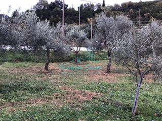 Οικόπεδο 956 τ.μ. για πώληση, Αχαΐα, Ρίο-thumb-4