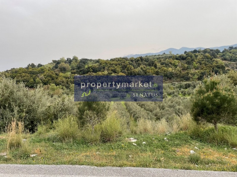 Οικόπεδο 6.765 τ.μ. πρός πώληση, Ν. Ρεθύμνου, Κουλουκώνας