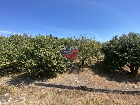 Οικόπεδο 1.738 τ.μ. για πώληση