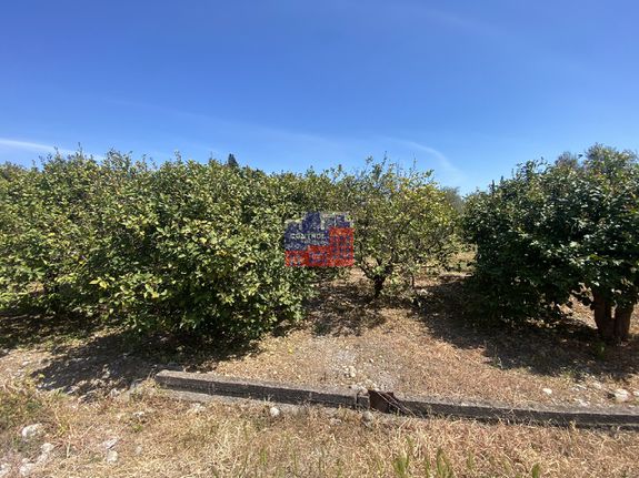 Οικόπεδο 1.738 τ.μ. για πώληση, Αχαΐα, Διακοπτό