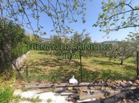 Οικόπεδο 1.860 τ.μ. για πώληση