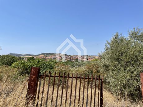 Οικόπεδο 917τ.μ. για πώληση-Παναγιά » Κέντρο