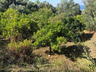 Μονοκατοικία 90 τ.μ. προς πώληση, Προάστιο Πάτρας-thumb-21