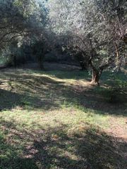 Μονοκατοικία 90 τ.μ. προς πώληση, Προάστιο Πάτρας-thumb-22