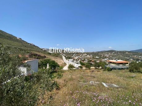Αγροτεμάχια 500τ.μ. για πώληση-Κερατέα » Πεύκα