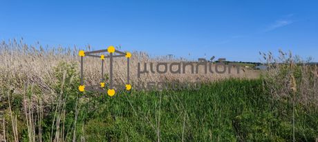 Parcel 5.000sqm for sale-Alexandroupoli » Apalos