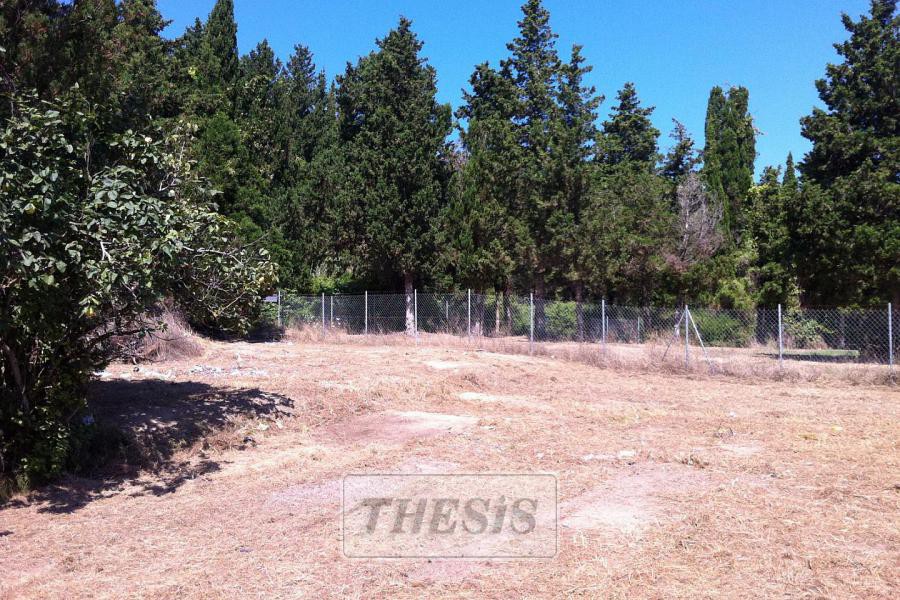 Οικόπεδο 4.041 τ.μ. προς πώληση, Εσπερίες