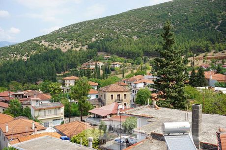 Μονοκατοικία 100τ.μ. για πώληση-Παρνασσός » Άνω πολύδροσος