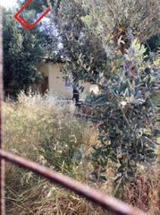 Οικόπεδο 1.027 τ.μ. για πώληση