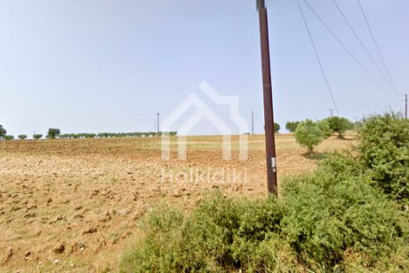 Αγροτεμάχια 16.000τ.μ. για πώληση-Κασσάνδρα » Κασσανδρηνό