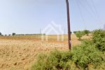 Parcel 16.000sqm for sale-Kassandra » Kassandrino
