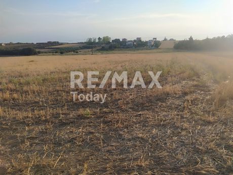 Αγροτεμάχια 4.200τ.μ. για πώληση-Επανομή » Μεσημέρι