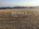 Αγροτεμάχια 4.200τ.μ. για πώληση-Επανομή » Μεσημέρι