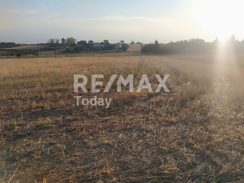 Αγροτεμάχια 4.200 τ.μ. προς πώληση, Μεσημέρι Επανομής