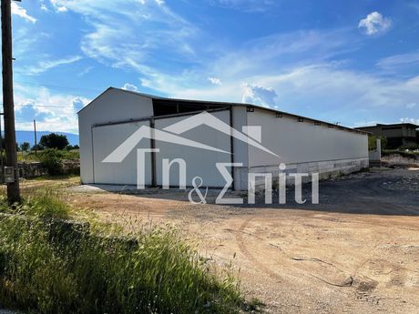 Warehouse 950sqm for rent-Anatoli » Neokaisareia