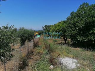 Οικόπεδο 1.000 τ.μ. για πώληση