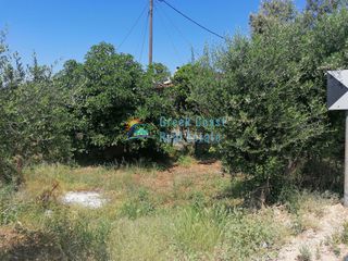 Οικόπεδο 1.000 τ.μ. πρός πώληση, Αχαΐα, Βραχναίικα-thumb-6