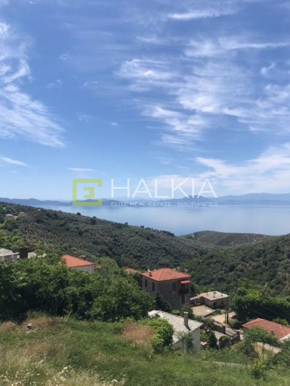 Οικόπεδο 1.009 τ.μ. πρός πώληση, Μαγνησία, Αφέτες