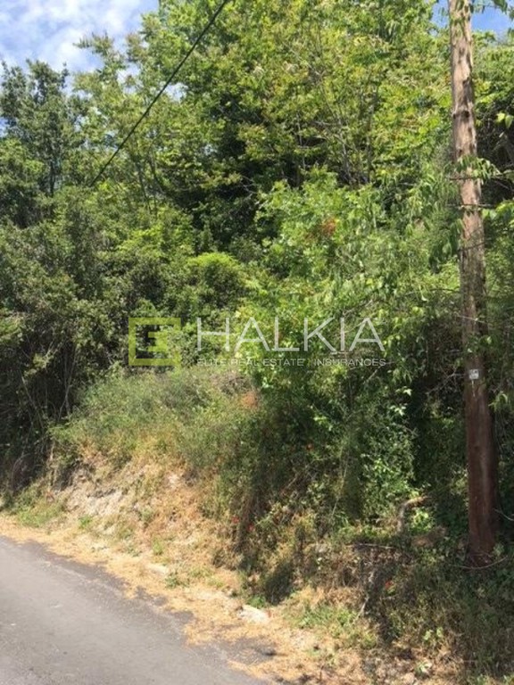 Οικόπεδο 1.009 τ.μ. πρός πώληση, Μαγνησία, Αφέτες