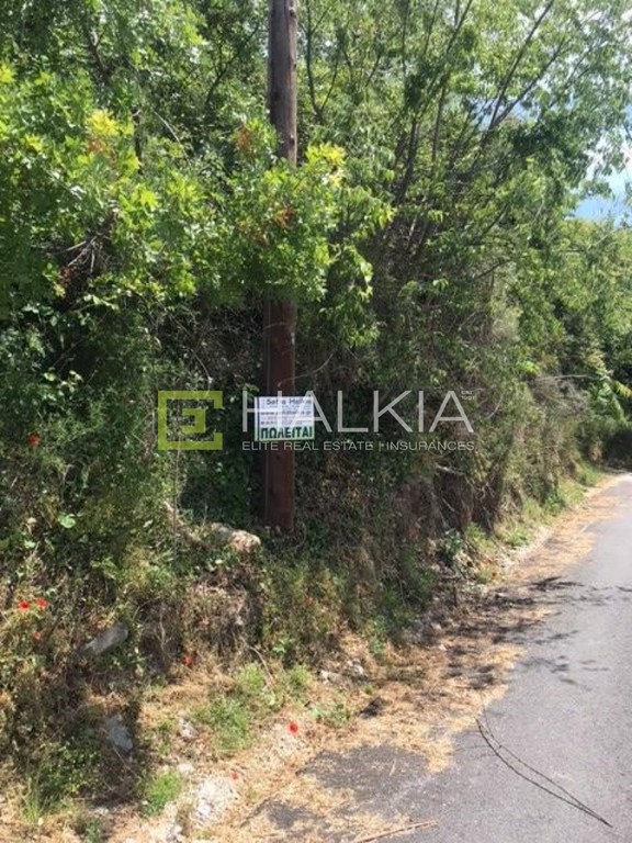 Οικόπεδο 1.009 τ.μ. πρός πώληση, Μαγνησία, Αφέτες