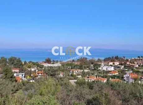 Αγροτεμάχια 6.500τ.μ. για πώληση-Κασσάνδρα » Πευκοχώρι