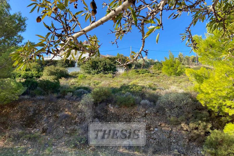 Οικόπεδο 532 τ.μ. πρός πώληση, Αττική - Υπόλοιπο, Ραφήνα