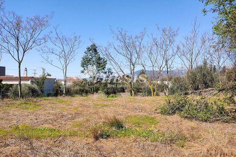 Land plot 1.513sqm for sale-Kifisia » Agia Kiriaki