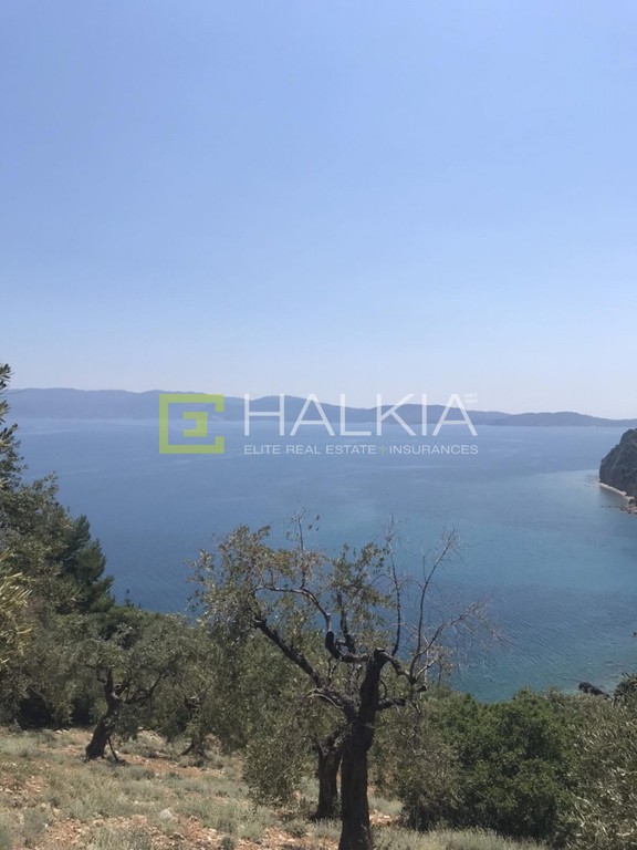 Αγροτεμάχια 13.000 τ.μ. πρός πώληση, Μαγνησία, Σηπιάδα