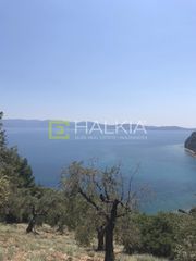 Αγροτεμάχια 13.000 τ.μ. για πώληση