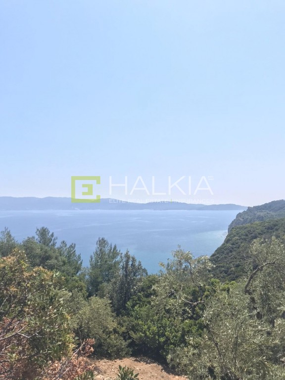 Αγροτεμάχια 13.000 τ.μ. πρός πώληση, Μαγνησία, Σηπιάδα