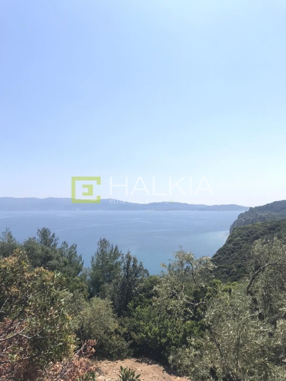 Αγροτεμάχια 13.000 τ.μ. πρός πώληση, Μαγνησία, Σηπιάδα