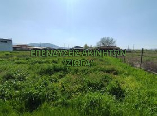 Οικόπεδο 2.000 τ.μ. πρός πώληση, Μαγνησία, Κάρλα