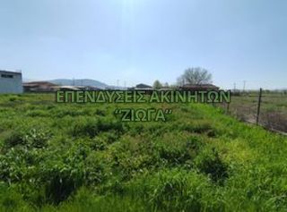Οικόπεδο 2.000 τ.μ. για πώληση, Μαγνησία, Κάρλα-thumb-3