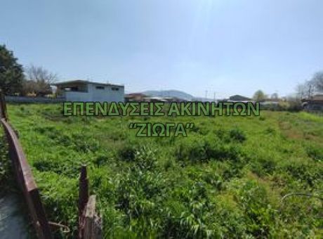 Οικόπεδο 2.000τ.μ. για πώληση-Κάρλα » Ριζόμυλος