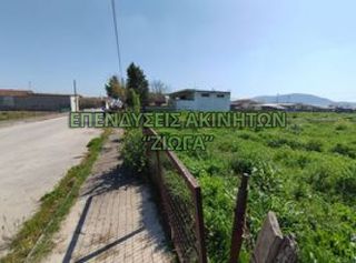 Οικόπεδο 2.000 τ.μ. για πώληση, Μαγνησία, Κάρλα-thumb-4