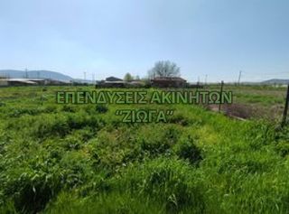 Οικόπεδο 2.000 τ.μ. για πώληση, Μαγνησία, Κάρλα-thumb-2