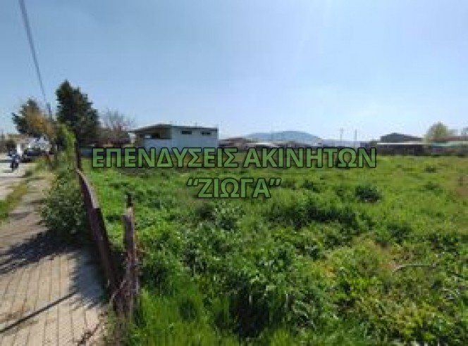 Οικόπεδο 2.000 τ.μ. πρός πώληση, Μαγνησία, Κάρλα