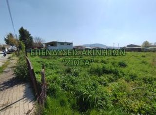 Οικόπεδο 2.000 τ.μ. για πώληση, Μαγνησία, Κάρλα-thumb-1