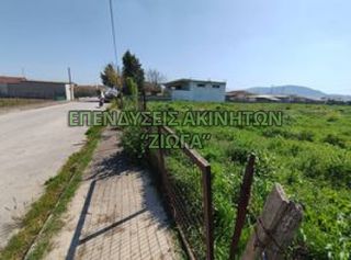 Οικόπεδο 2.000 τ.μ. για πώληση, Μαγνησία, Κάρλα-thumb-5