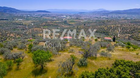 Αγροτεμάχια 6.269τ.μ. για πώληση-Νέα ιωνία βόλου » Μελισσάτικα