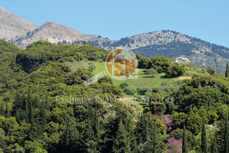 Οικόπεδο 2.000 τ.μ. προς πώληση, Ρωμανός Πάτρας
