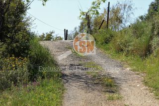 Οικόπεδο 2.000 τ.μ. για πώληση, Αχαΐα, Πάτρα-thumb-4