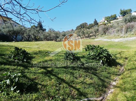Οικόπεδο 2.030 τ.μ. για πώληση