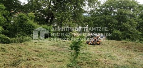 Οικόπεδο 500τ.μ. για πώληση-Αφέτες » Νεοχώρι